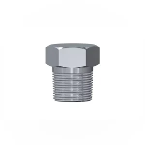 Cavity Plug