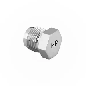Pipe Plug